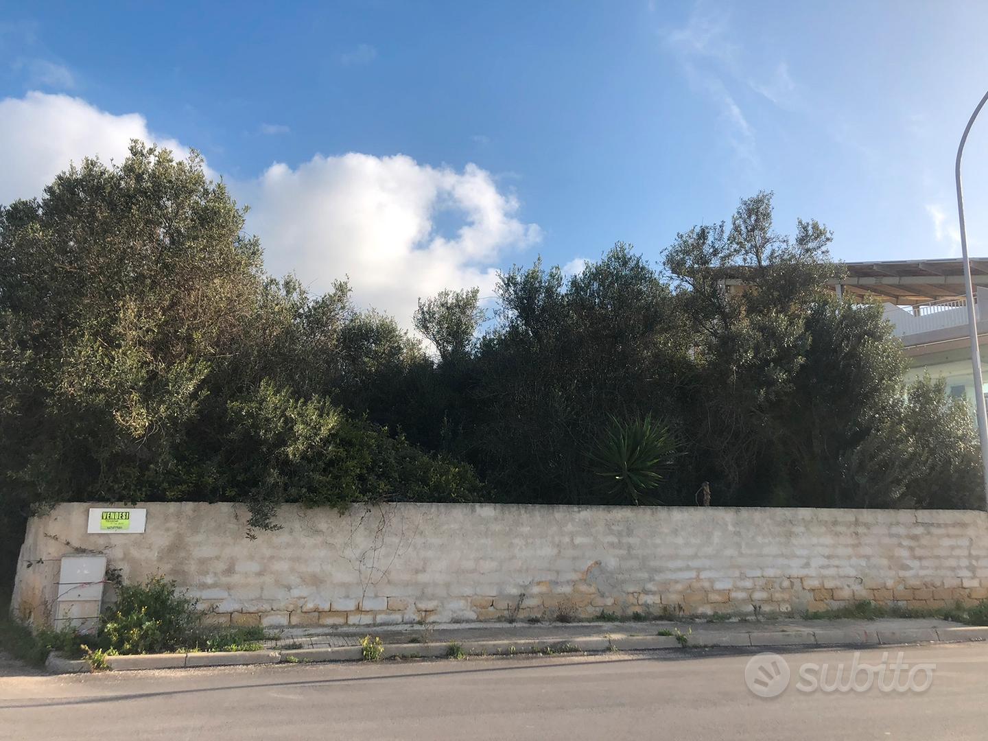 Terreno 800 mq fronte strada via Bessarione - Vista 3
