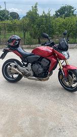 Hornet 2009