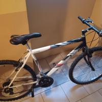Bicicletta SPORT BIKE FREJUS MT