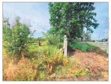 Azienda Agricola Montanaro [A4353250] - Vista 4