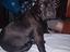 Immagine 2