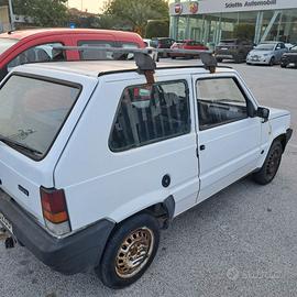 FIAT PANDA con Carrello