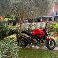 Monster 821 anno 2015