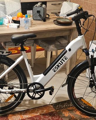 city ebike 26 pollici