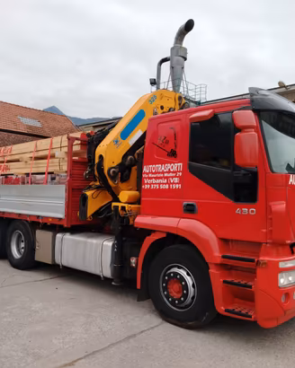 Camion con gru