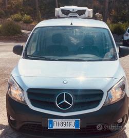 Mercedes citan coibentato e frigo