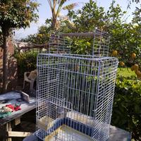 Gabbia per pappagalli