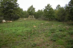 Rudere e bosco