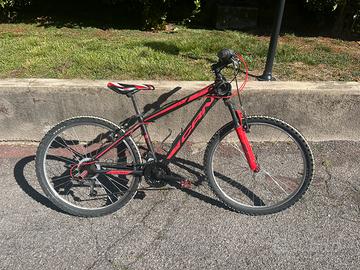 Bici mountain bike Carnielli CRN 900