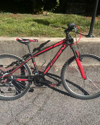 Bici mountain bike Carnielli CRN 900