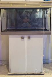 acquario 90LT