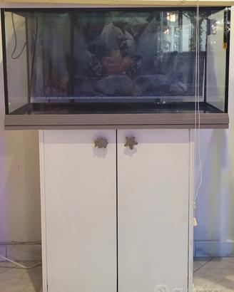 acquario 90LT