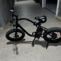 Bicicletta elettrica