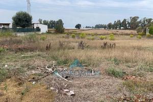 Terreno di 1300 m² a Sabaudia