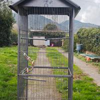 gabbia per pappagalli