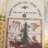 Campa Cavallo Che L'Erba Cresce 