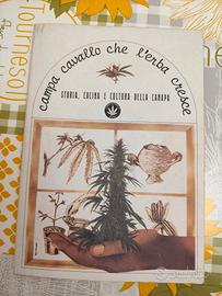 Campa Cavallo Che L'Erba Cresce 