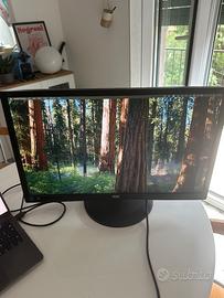Monitor AOC 24"