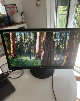 Monitor AOC 24"