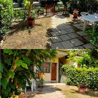 Vacanze a Pineto a 10 metri dalla spiaggia