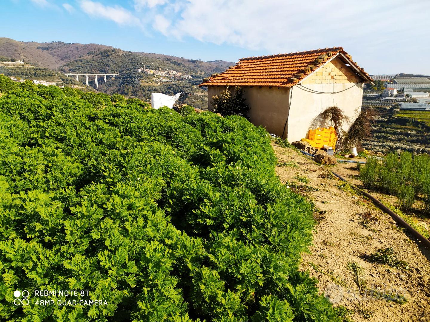 Terreno con progetto - Vista 5