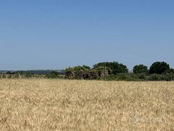 Terreno di 20040 m² a Tuscania