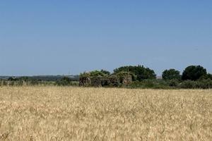 Terreno di 20040 m² a Tuscania