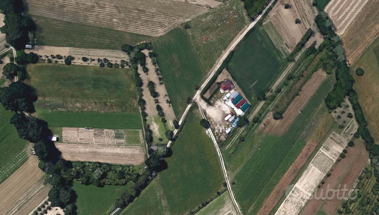 Terreno agricolo pianeggiante 2.300 m² con irrigaz - Vista 4