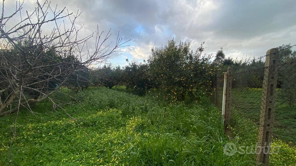 Terreno di 1280 m² a Partinico - Vista 4