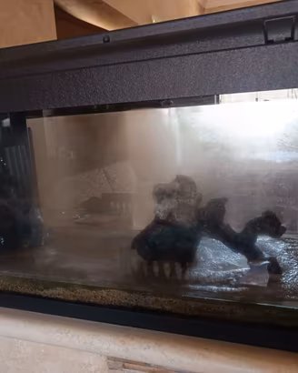 Acquario completo ,da sostituire  illuminazione