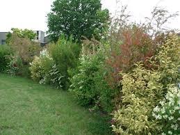 Brusegana singola da ristrutturare