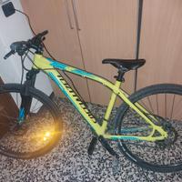 Bici mountain bike SPECIALIZED