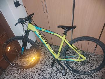 Bici mountain bike SPECIALIZED
