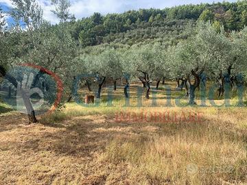 Terreno Residenziale Foligno [GRIM2744VRG]