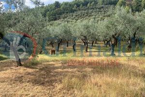 Terreno Residenziale Foligno [GRIM2744VRG]