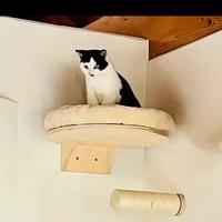 mensola x gatti usata 