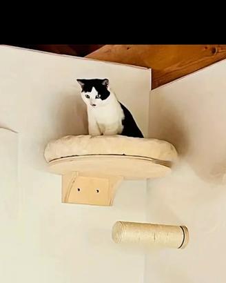 mensola x gatti usata 