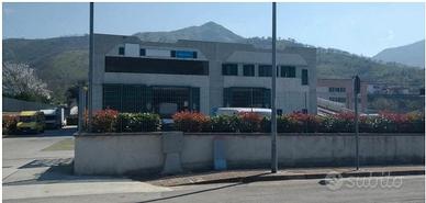 Trib. di Nocera Inf.- RG 46/2022 Complesso in asta