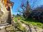Immagine 26