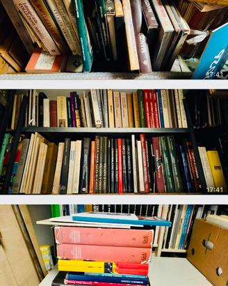 Libri: Bergamo, bergamasca e pittori bergamaschi