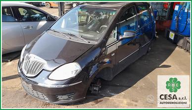 Ricambi Usati LANCIA MUSA (TJ) 2010