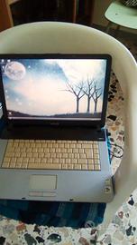Computer Vaio Sony PCG-7V1M