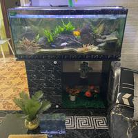 Acquario 300litri