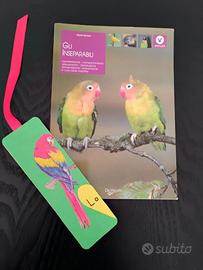 Inseparabili ornitologia G.Ravazzi pappagalliAmore