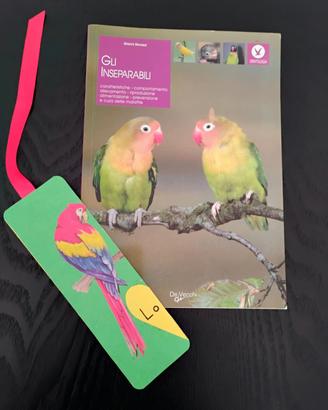 Inseparabili ornitologia G.Ravazzi pappagalliAmore