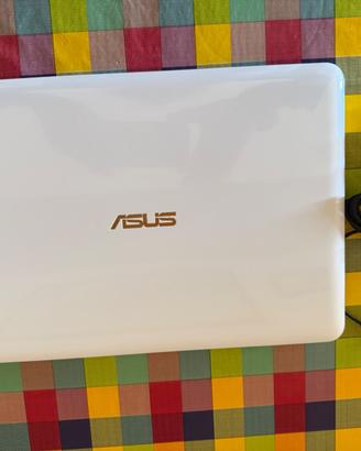 Notebook Asus 14 pollici