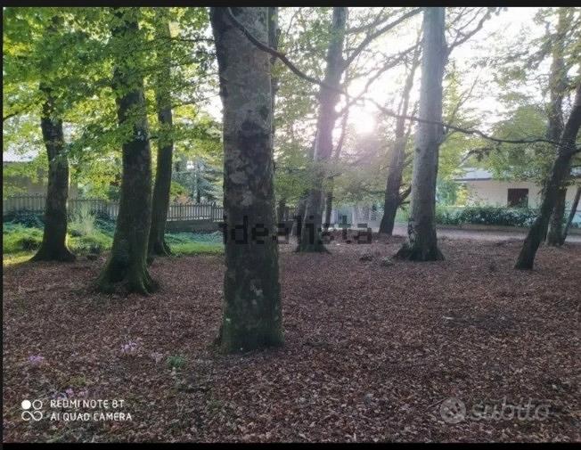 terreno edificabile Zomaro di Cittanova - Vista 4
