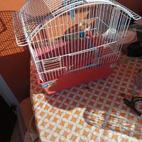 gabbia per uccelli