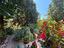 Immagine 9