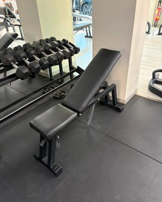 Panca Regolabile Technogym Professionale